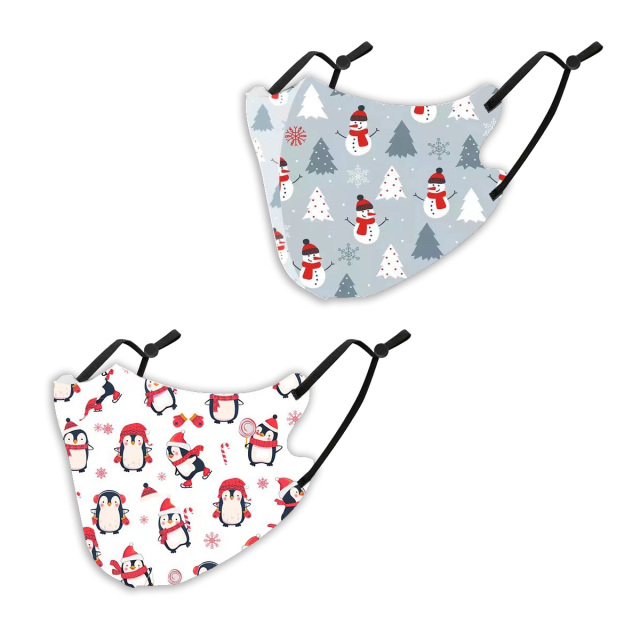 クリスマスマスク2枚SET (  抗菌 消臭 洗えるマスク　パーティ　プレゼント　イベント用）