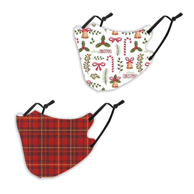 クリスマスマスク2枚SET (  抗菌 消臭 洗えるマスク　パーティ　プレゼント　イベント用）