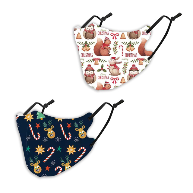 クリスマスマスク2枚SET (  抗菌 消臭 洗えるマスク　パーティ　プレゼント　イベント用）
