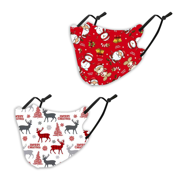 クリスマスマスク2枚SET (  抗菌 消臭 洗えるマスク　パーティ　プレゼント　イベント用）