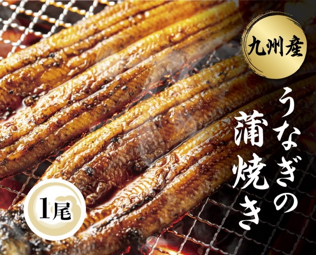 1284円 話題の行列 無地熨斗 くら寿司 国産 うなぎの蒲焼き 1尾 ギフト専用BOX 九州産 250g以上 尾 無添加だれ 山椒付き 送料無料 プレゼント 1284円 話題の行列 無地熨斗 くら寿司 国産 うなぎの蒲焼き 1尾 ギフト専用BOX 九州産 250g以上 尾 無添加だれ 山椒付き 送料無料 プレゼント
