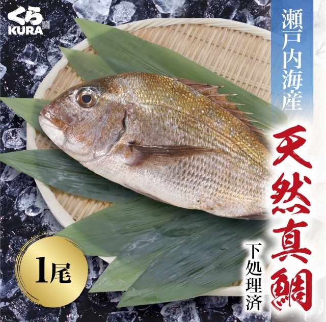 真鯛