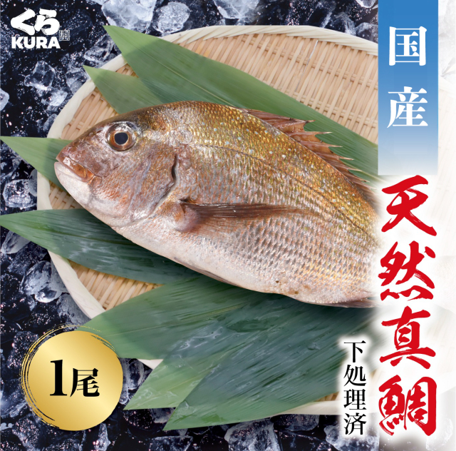 真鯛