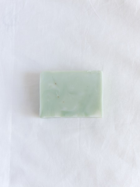 Ladybug レディバグ / グリーンティ＆olive