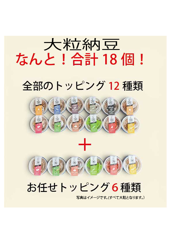 【限定5セット!特別価格!】極上の大粒「宮城しろめ」を味わうセット!しかも送料無料!