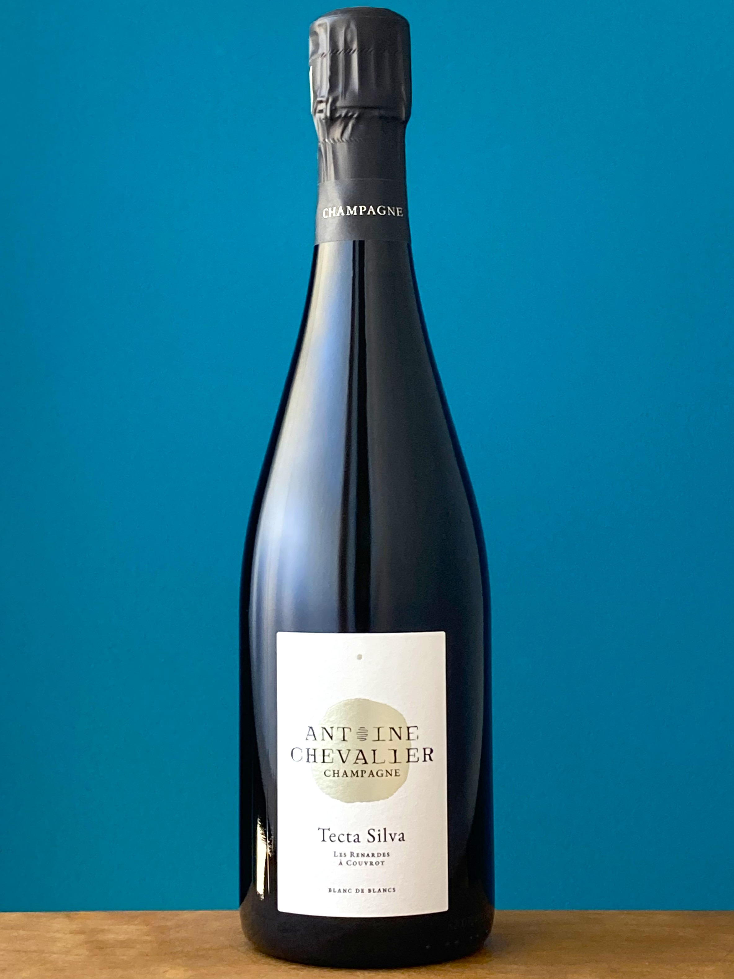 テクタ・シルヴァ 2020　　　アントワーヌ・シュヴァリエ