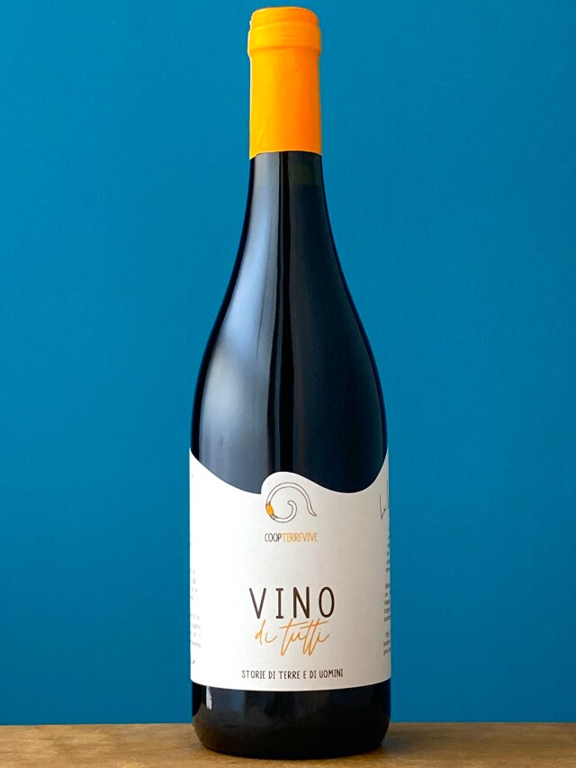 ヴィノ・ディ・トゥッティ 2020　　　テッレ・ヴィヴェ
