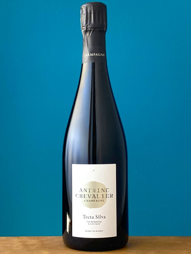 テクタ・シルヴァ 2020　　　アントワーヌ・シュヴァリエ