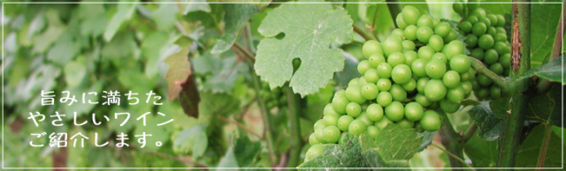 旨みに満ちたやさしいワインご紹介します。