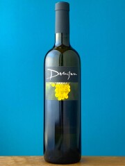 ネカイ 2019　　　ダミアン・ポドヴェルシッチ