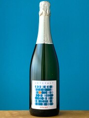 アルテファクト　エクストラ・ブリュット　　　ヴィニョーブル・デュ・レヴール