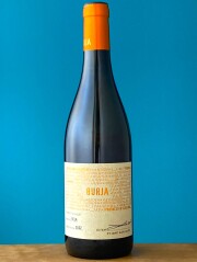 ベラ 2022　　　ブルヤ