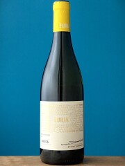 グラシカ 2024　　　ブルヤ