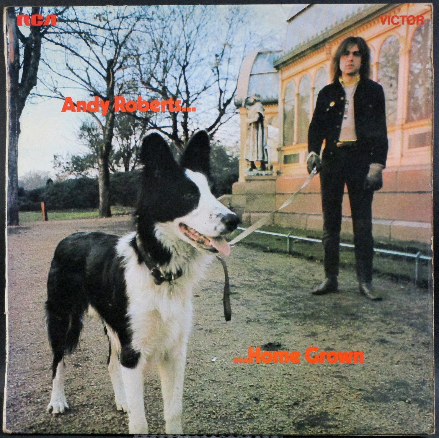 Andy Roberts アンディ・ロバーツ / Home Grown