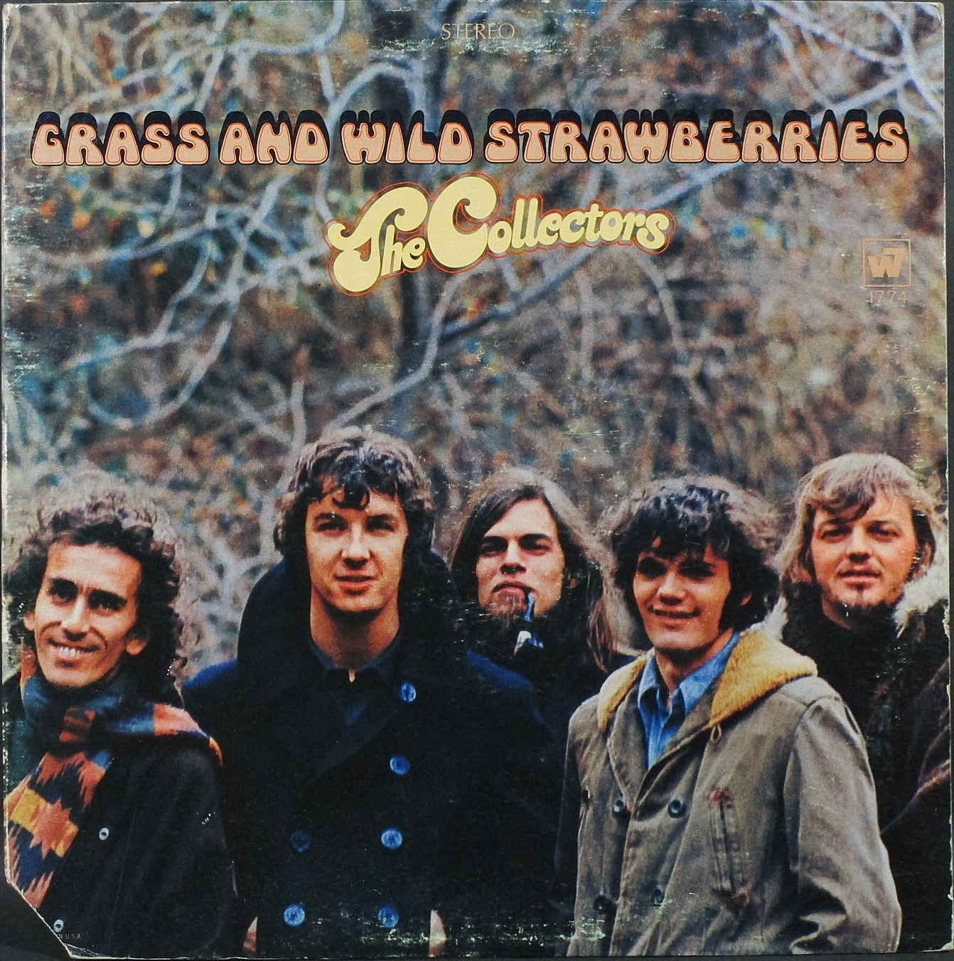 Collectors, The  ザ・コレクターズ / Grass And Wild Strawberries
