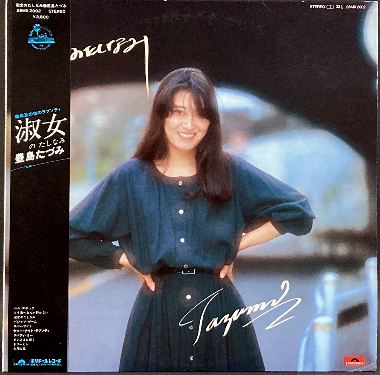 豊島たづみ / 淑女のたしなみ