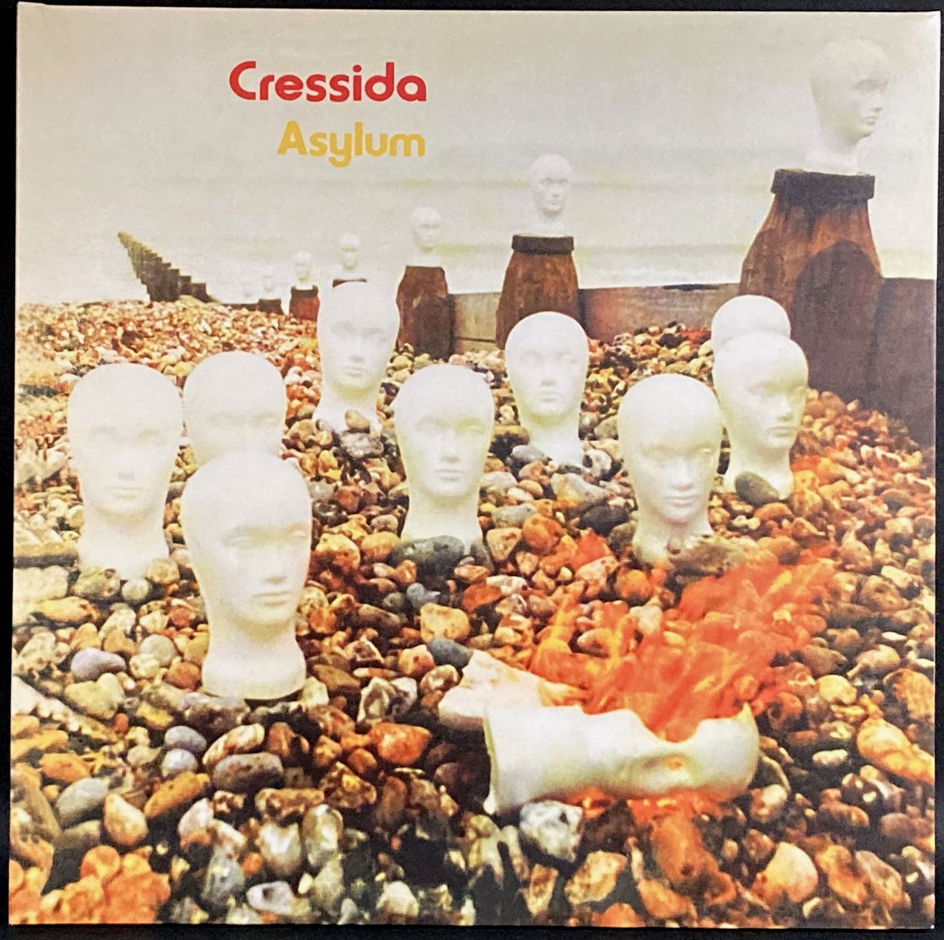Cressida クレシダ / Asylum アサイラム
