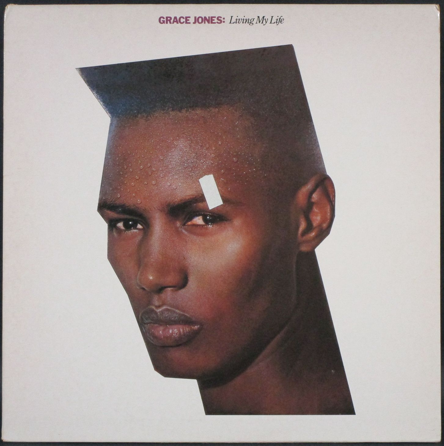 Grace Jones グレイス・ジョーンズ / Living My Life