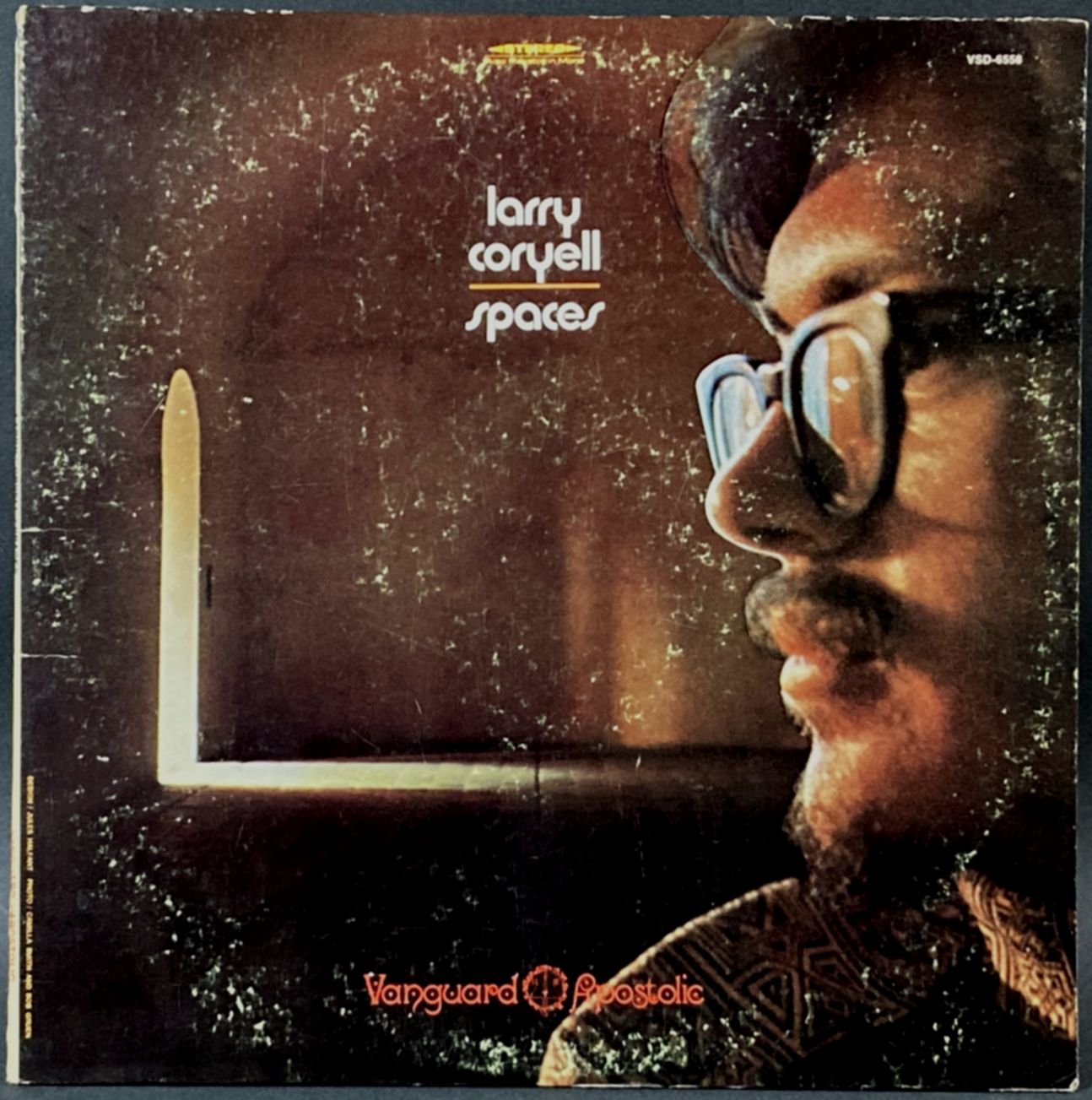 Larry Coryell ラリー・コリエル / Spaces