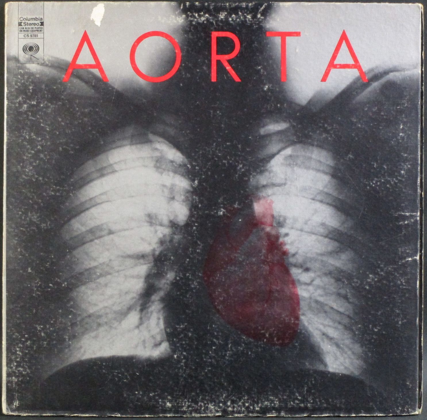 Aorta アオルタ / Aorta