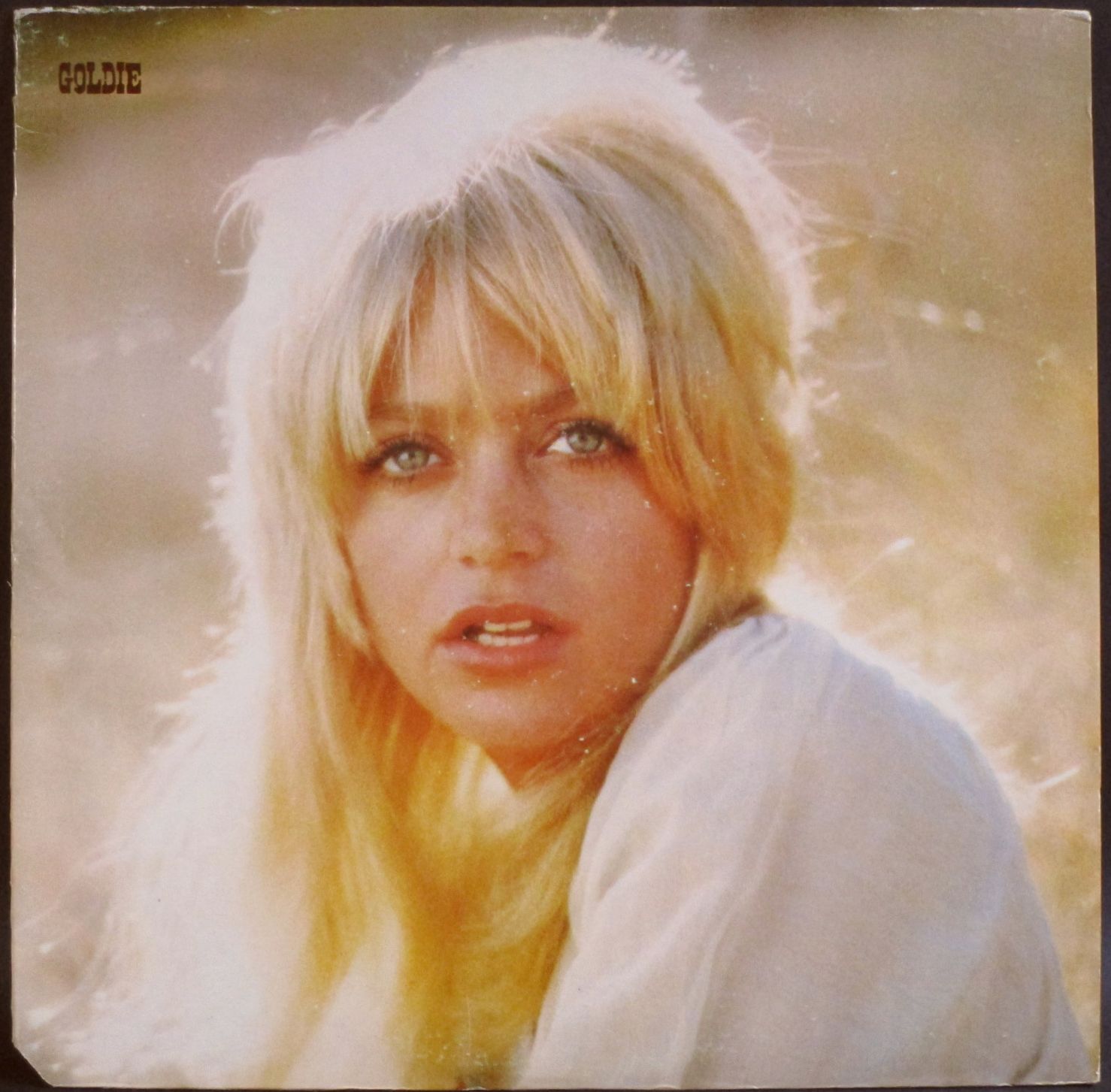 Goldie Hawn ゴールディ・ホーン / Goldie