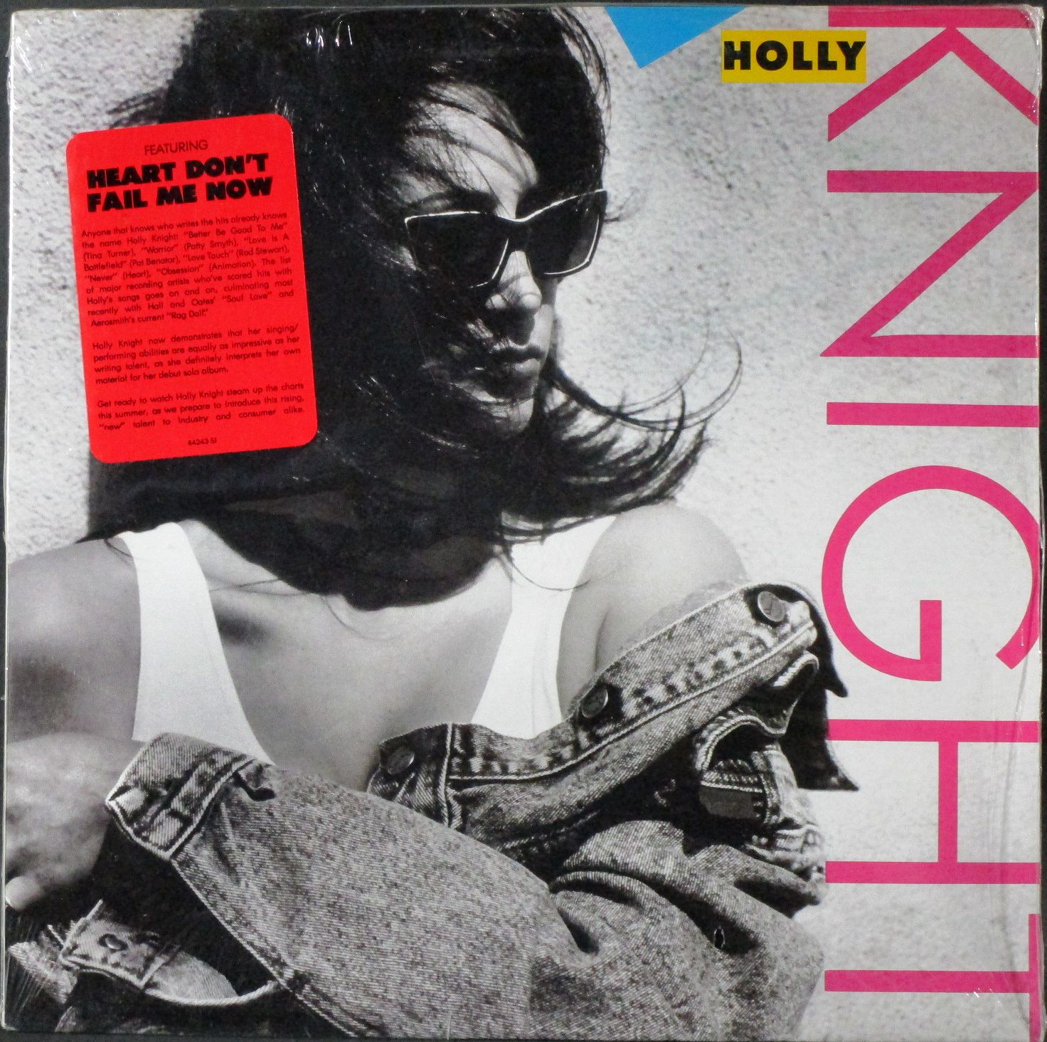 Holly Knight ホリー・ナイト / Holly Knight