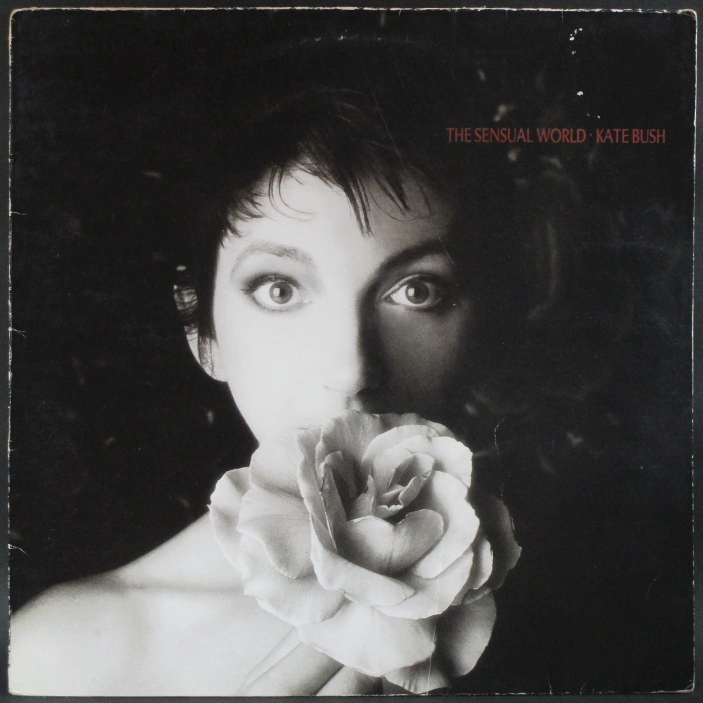 Kate Bush ケイト・ブッシュ / The Sensual World センシュアル・ワールド