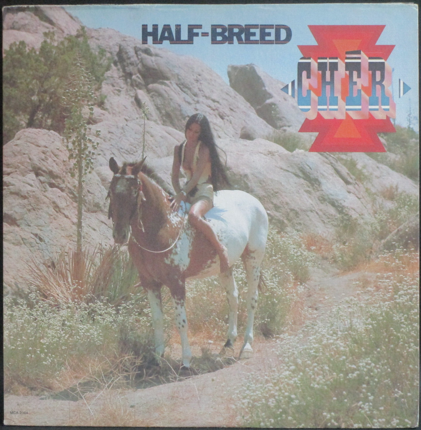 Cher シェール /  Half-Breed