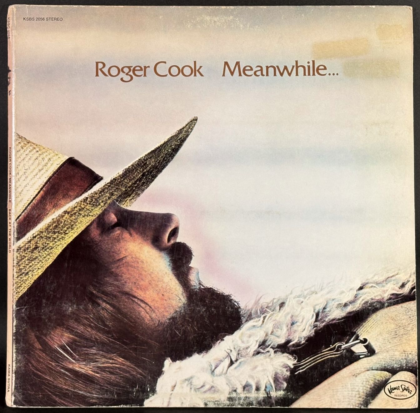 Roger Cook ロジャー・クック / Meanwhile Back At The World