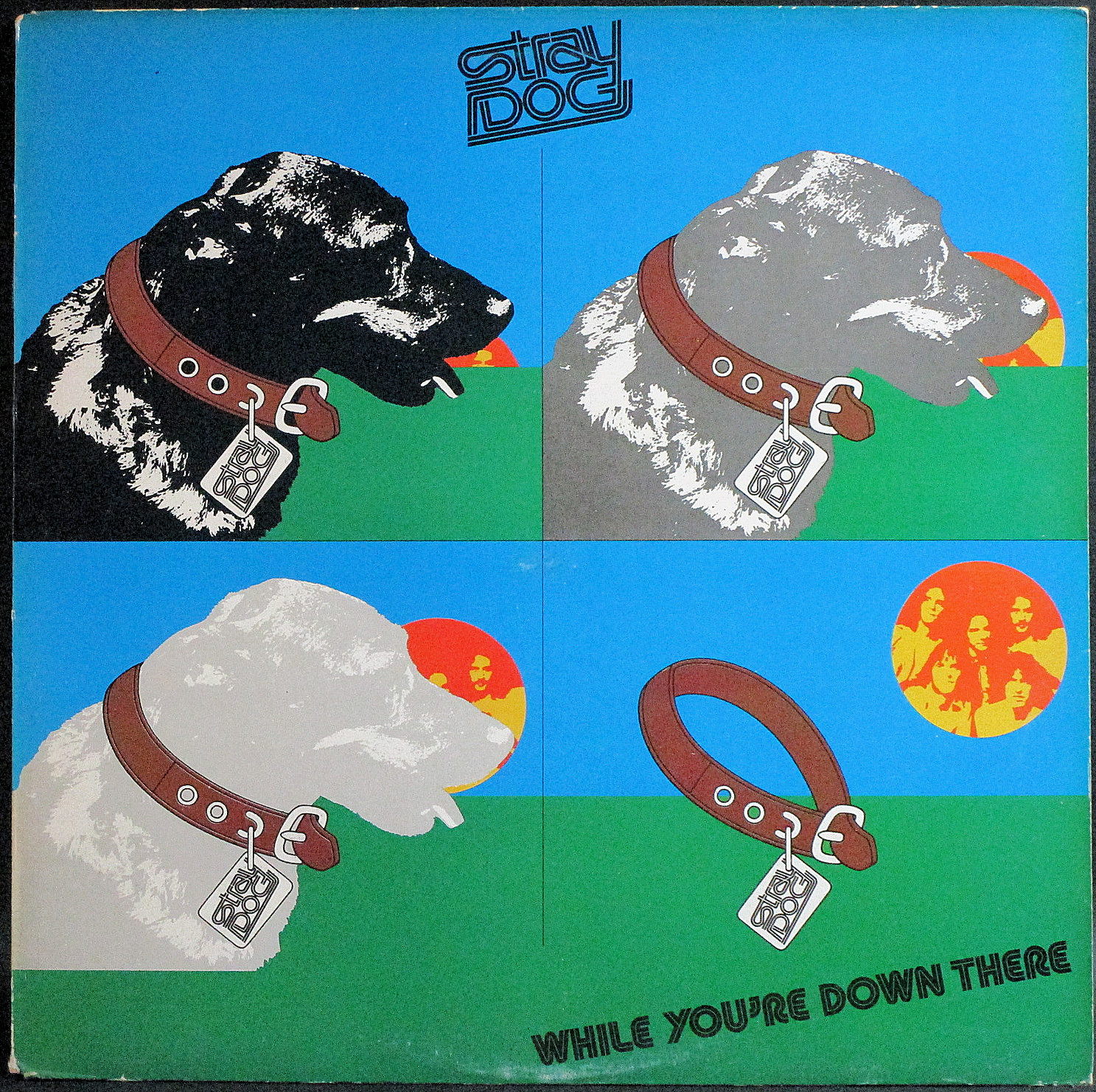 Stray Dog ストレイ・ドック / While You're Down There