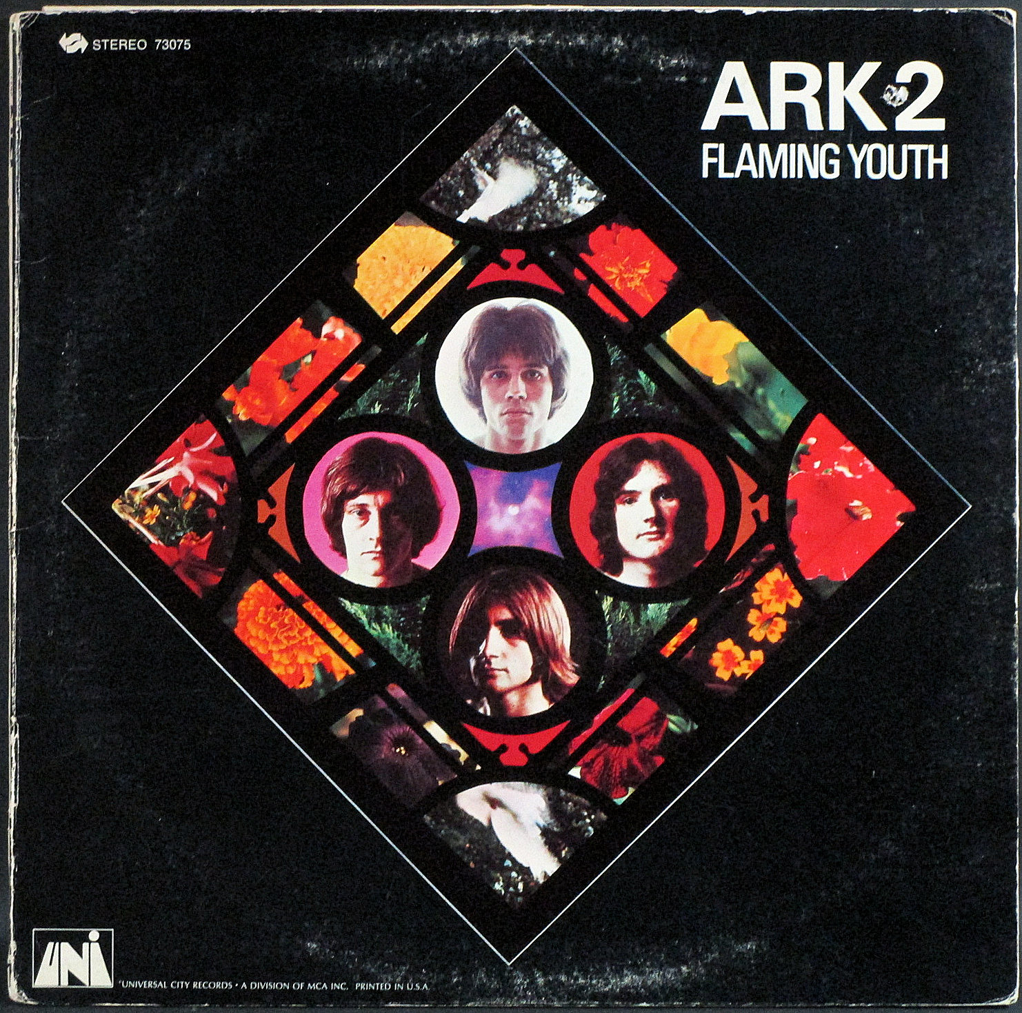 Flaming Youth フレイミング・ユース / Ark 2