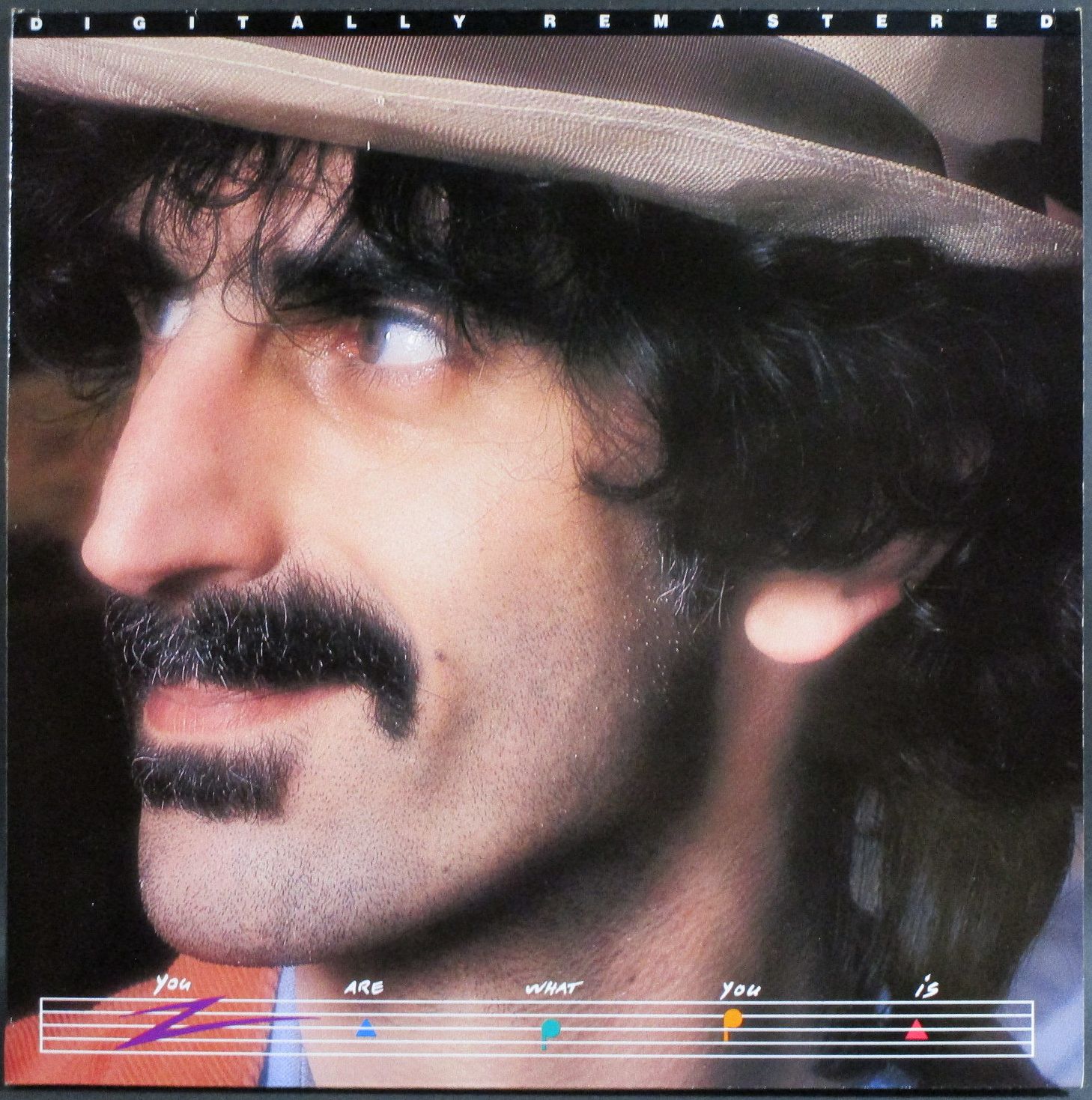 Frank Zappa フランク・ザッパ / You Are What You Is