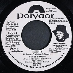 James Brown ジェームス・ブラウン / Reality | WLP 7"