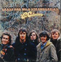 Collectors, The  ザ・コレクターズ / Grass And Wild Strawberries