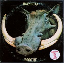 Navasota ナヴァソタ / Rootin'