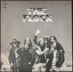 Flock フロック / The Flock