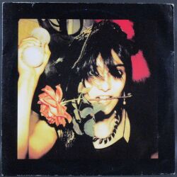 Public Image Limited パブリック・イメージ・リミテッド / The Flowers Of Romance フラワーズ・オブ・ロマンス