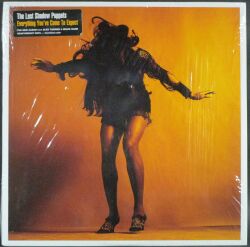 Last Shadow Puppets ラスト・シャドウ・パペッツ / Everything You've Come To Expect