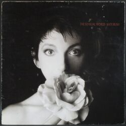 Kate Bush ケイト・ブッシュ / The Sensual World センシュアル・ワールド