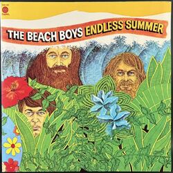 Beach Boys / Endless Summer