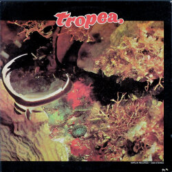 John Tropea ジョン・トロペイ / Tropea