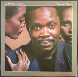 Terry Callier テリー・キャリアー / Turn You To Love