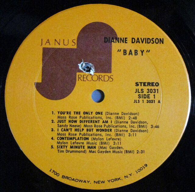 女性シンガー】Dianne Davidson ダイアン・デヴィッドソン