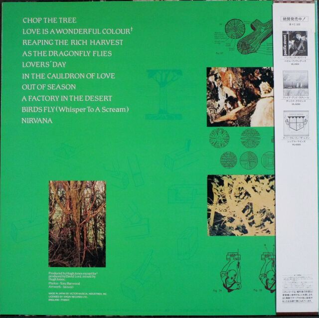 The Isicle Works　アイシクルワーク　直筆サイン入り　レコード Icicle Works アイシクル・ワークス / 木霊 中古レコード通販