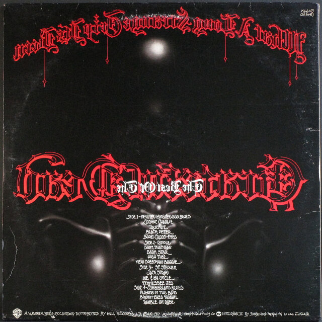 Grateful Dead グレイトフル・デッド / What A Long Strange