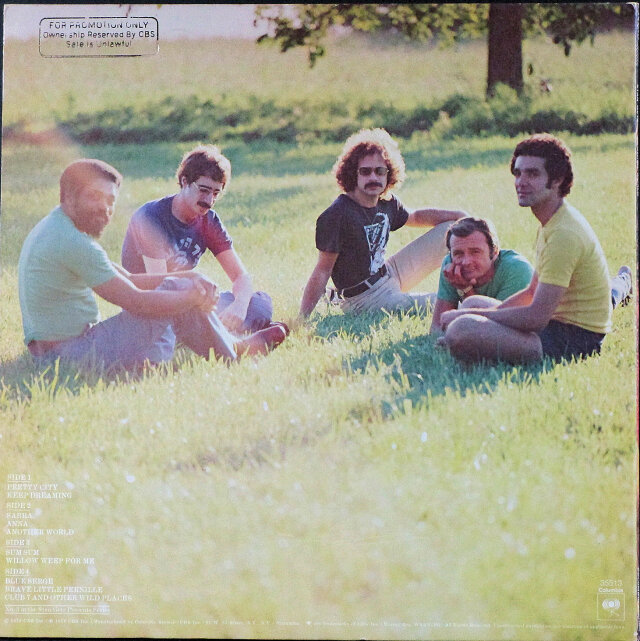 ターコイズTheWorldstory ofFascinatingGemstone ターコイズTheWorldstory ofFascinatingGemstone ターコイズ