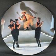 Kid Creole & The Coconuts キッド・クレオール&ザ・ココナッツ / Annie, I'm Not Your Daddy