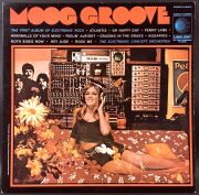 Electronic Concept Orchestra（Eddie Higgins）エレクトロニック・コンセプト・オーケストラ / Moog Groove