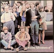 Liverpool Scene / Amazing Adventures Of