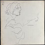 David Bromberg / David Bromberg